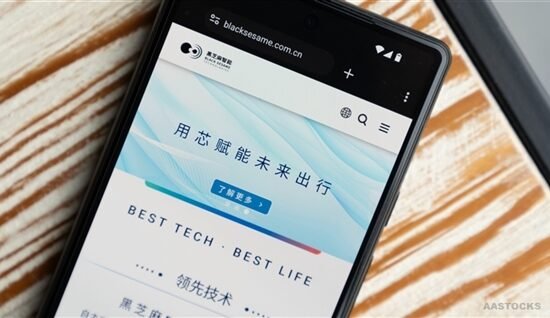 黑芝麻智能配售終止後走勢關鍵技術位分析