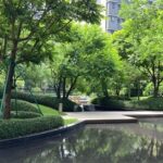 內地一線城市住宅價格持續反彈走勢預測